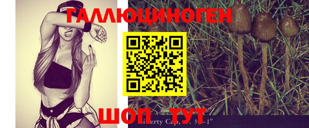 Галлюциногенные грибы Psilocybine cubensis  Псилоцибиновые грибы Magic Shrooms  Вход с VPN  Курчалой 